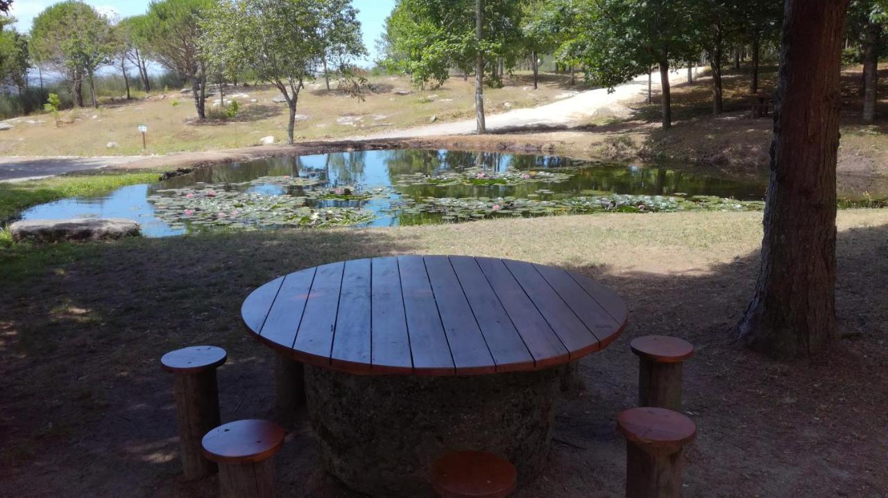 Quinta Da Fonte - Agroturismo Barroselas Dış mekan fotoğraf