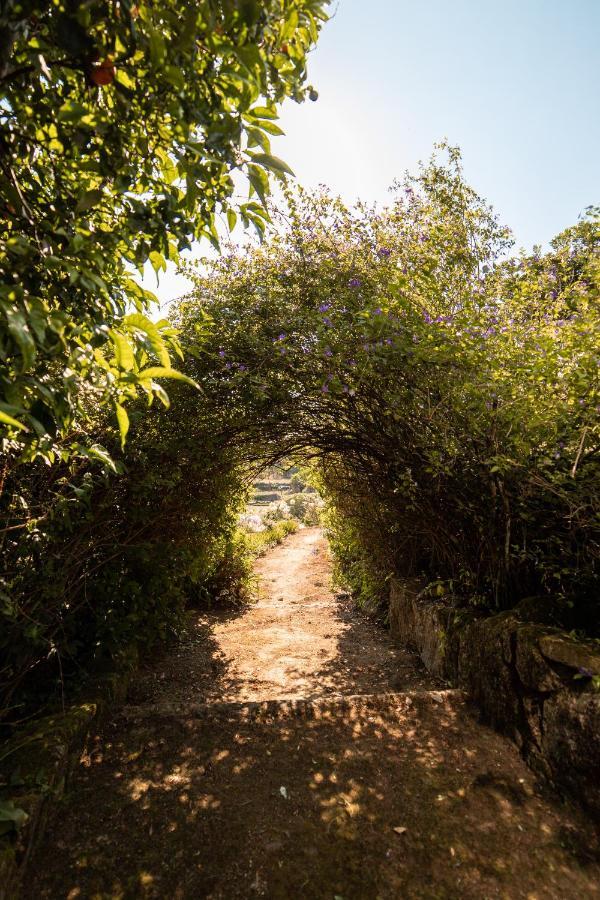 Quinta Da Fonte - Agroturismo Barroselas Dış mekan fotoğraf