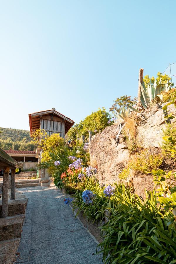 Quinta Da Fonte - Agroturismo Barroselas Dış mekan fotoğraf