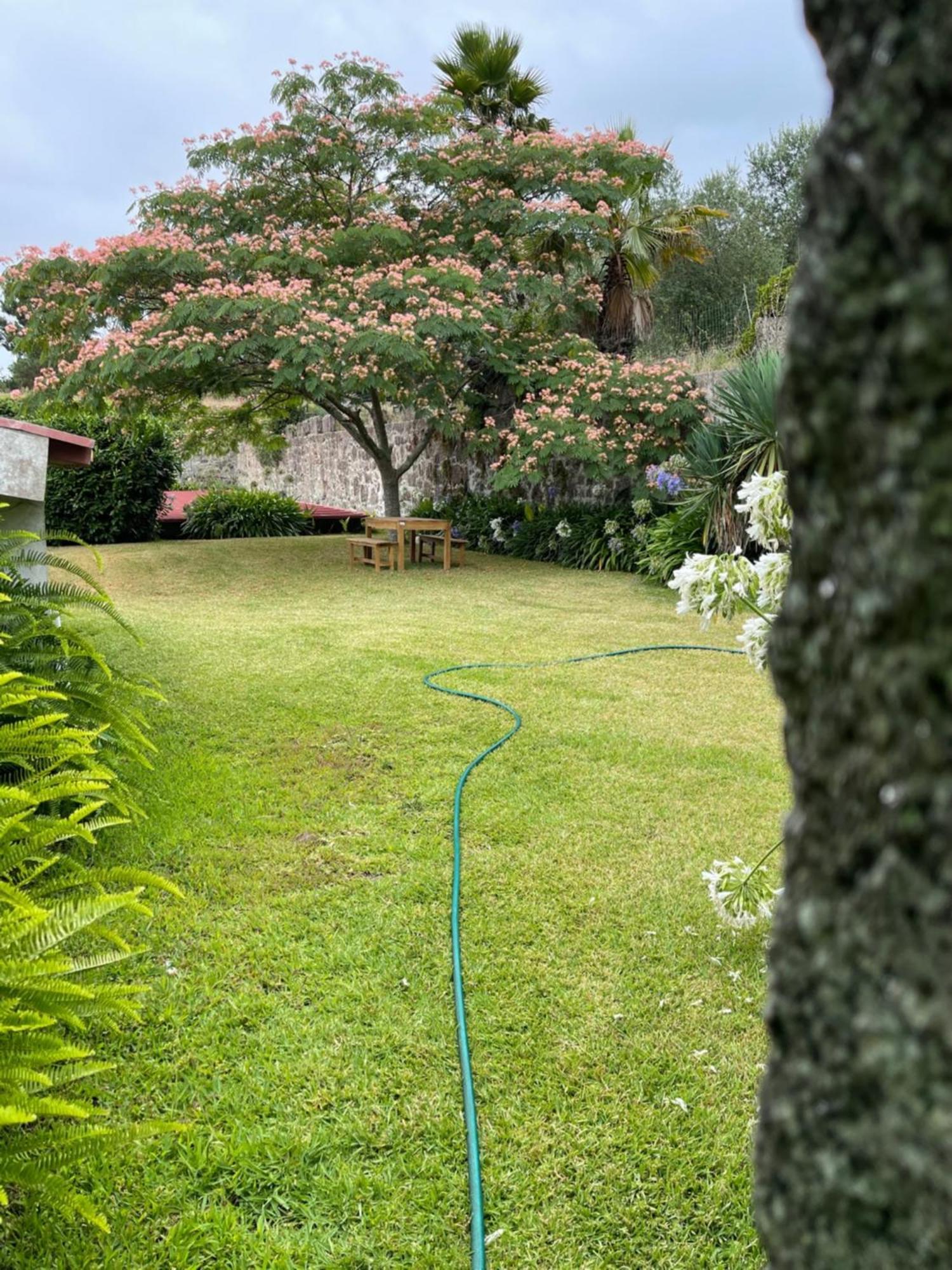 Quinta Da Fonte - Agroturismo Barroselas Dış mekan fotoğraf