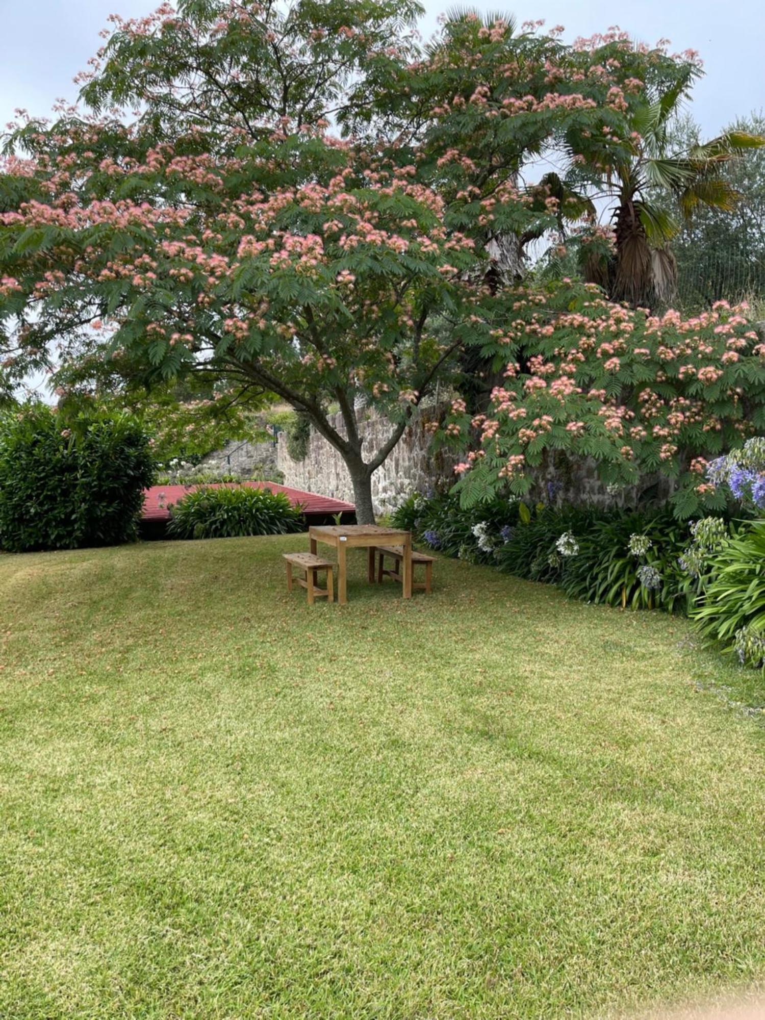 Quinta Da Fonte - Agroturismo Barroselas Oda fotoğraf